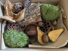 BIOTROPIC. Natural Jungle Pods