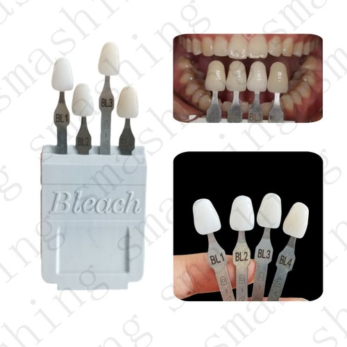 Dental bleached shade guide - bleached,
