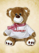 Arsenal Highbury  Teddy Bear