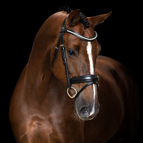 Imperial riding irh simple - irh,