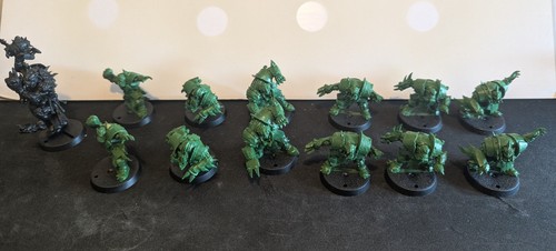 Orc bloodbowl team with - team, troll