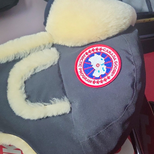 Canada goose men trapper - canada,