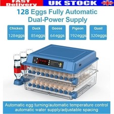 128 Automatic Digital Eggs