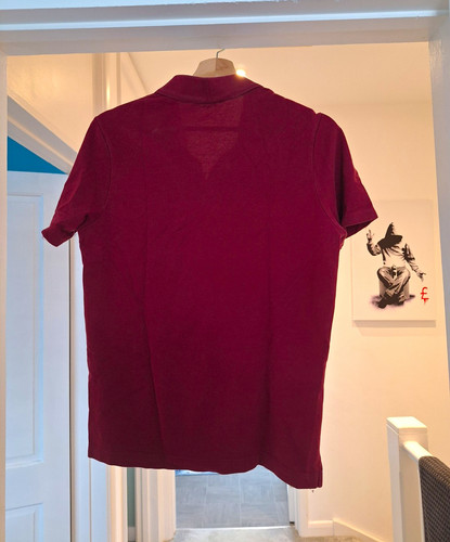 Paul shark men - &, burgundy