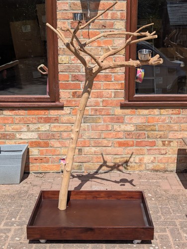 Parrot stand kiln dried coffee - kiln,