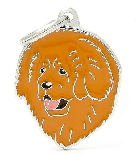 Tibetan mastiff dog - mastiff,