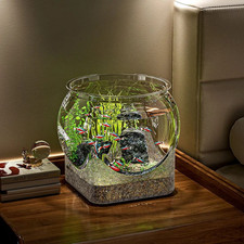 Transparent round fish bowl - round,