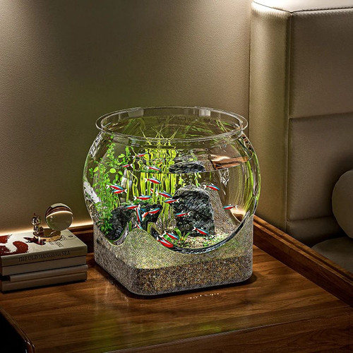 Transparent round fish - transparent, bowl