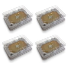 Bed Bug Monitor Trap Adhesive