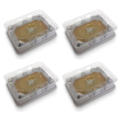 Bed bug monitor trap - bug, adhesive