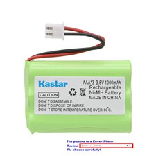 Kastar Ni-MH Battery for