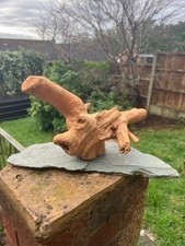 Driftwood On Slate Large
