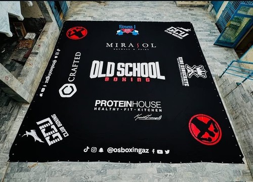 Professional boxing ring - professional,