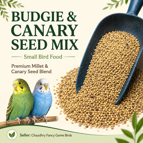 Premium budgie canary - premium, seed