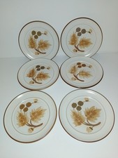 DENBY COTSWOLD 6 SIDE PLATES