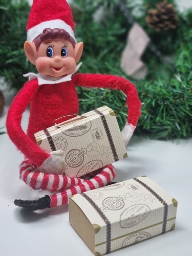 Elf suitcases accessories - 2,