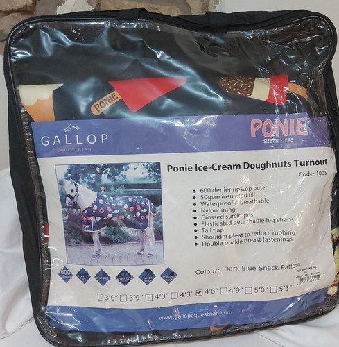 Gallop equestrian ponie - ponie, ice-