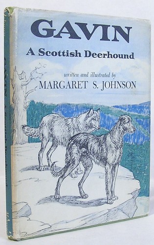 Gavin scottish deerhound by - scottish,