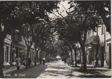 Postcard Friuli Venezia Giulia Gorizia Grado The Course MF75808