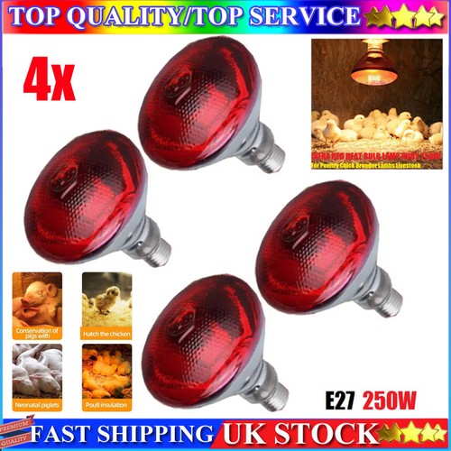Infra red heat bulb - 4x,