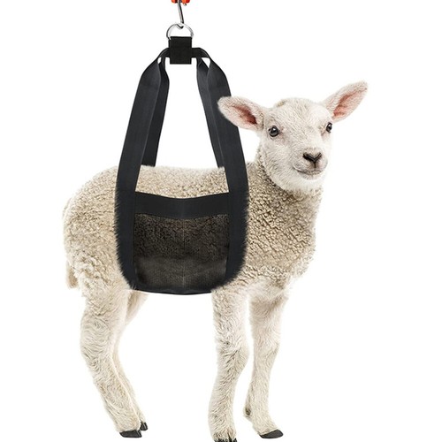 1pc hanging scale - 1pc, sling