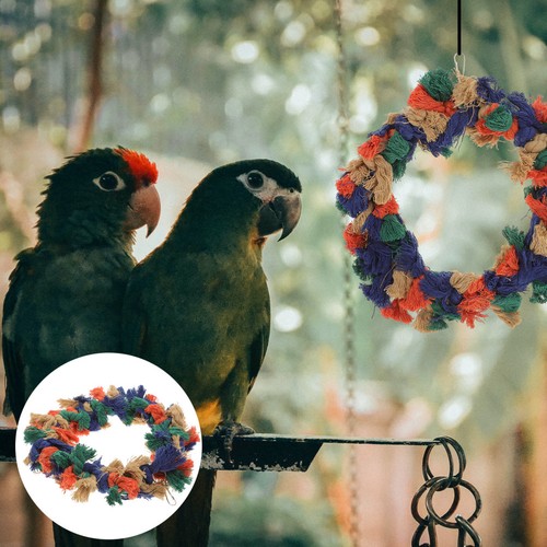 Colorful parrot rope toy - colorful,