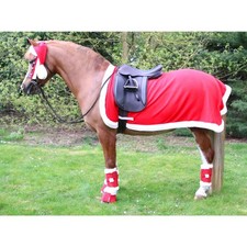 Hy Equestrian Christmas Santa