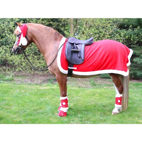 Equestrian christmas santa - hy,