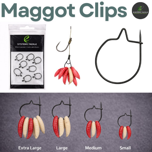 Maggot clip rings carp - carp, tench