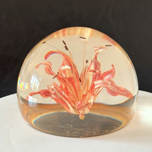 Vintage resin dome - dome, shaped