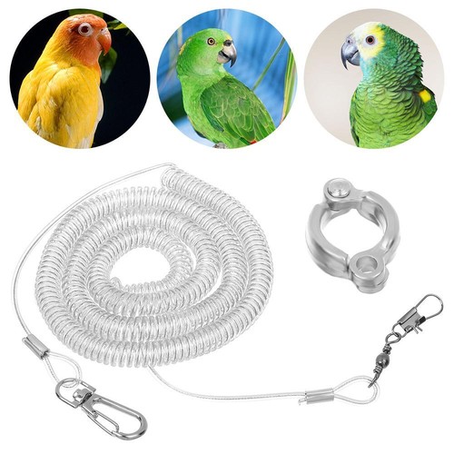 Flying training leash - flying,