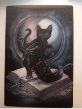 Midnight Mischief 3D Postcard