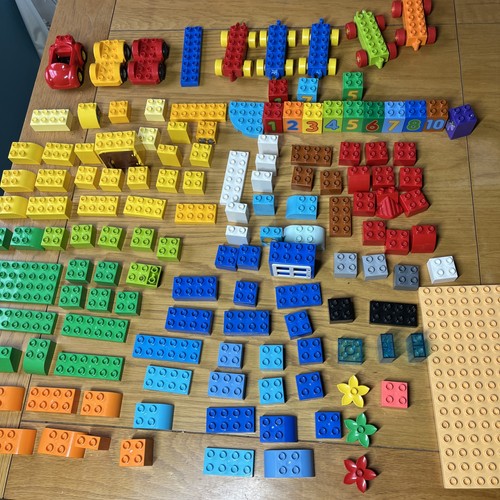 Duplo brick bundle with