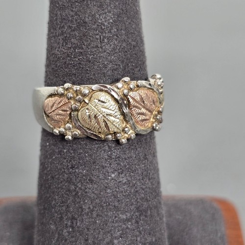 12k black hills - hills, gold