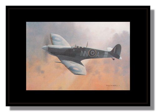 Raf spitfire 310 - raf,