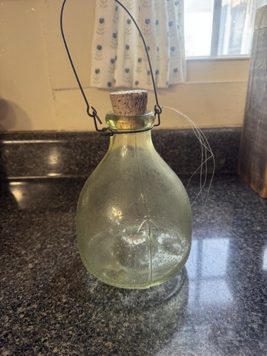 Rare antique glass fly - rare,