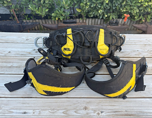 Petzl sequoia sit harness tree - sequoia,