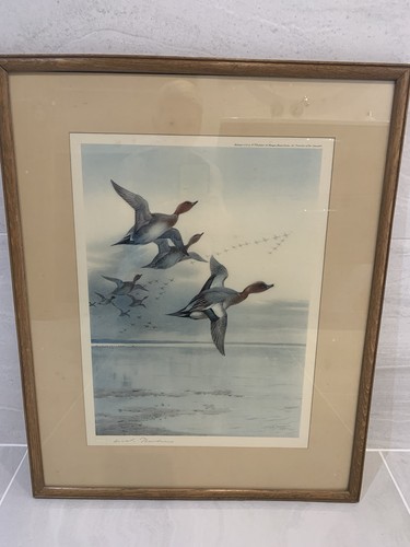 Rare framed signed proof - framed,