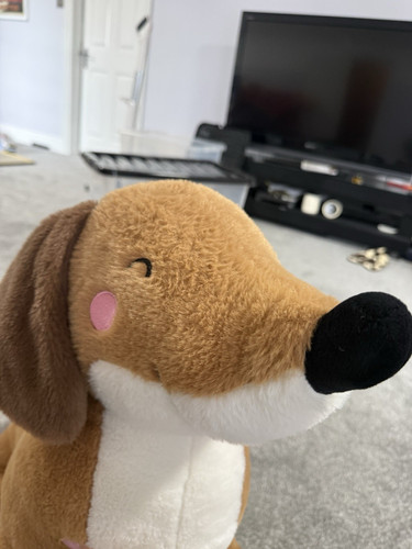 Hapello dachshund sausage dog - hapello,