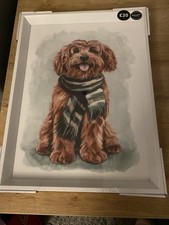 Next Charlie Cockapoo in Scarf