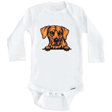 Rhodesian Ridgeback Dog Breed