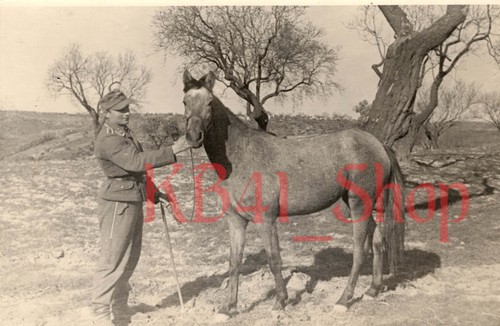 Original german ww2 photo - german,