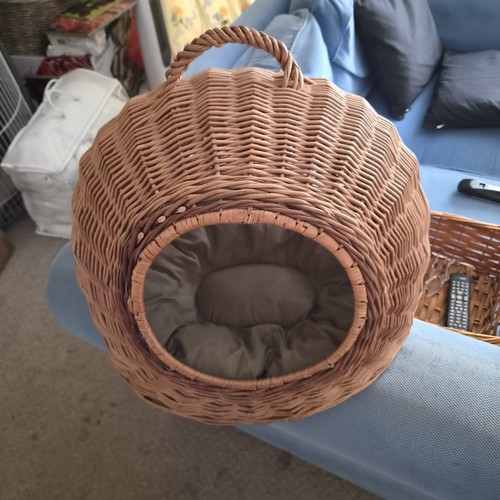 Cat small dog - dog, basket