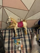 Barbie Mysteries: The Great