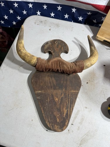 Vintage american cow - american, horns