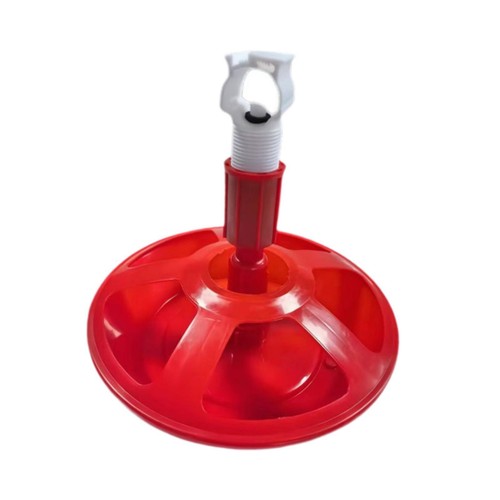 Automatic chicken waterer - chicken,