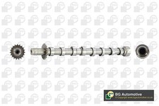 Camshaft for Citroen C8 2.0