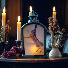 Hare vintage storm  lantern