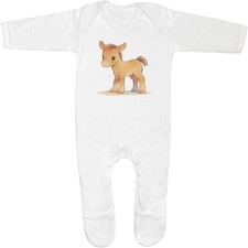 'Cute Baby Horse Standing'