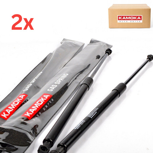 Tailgate boot gas - gas, struts